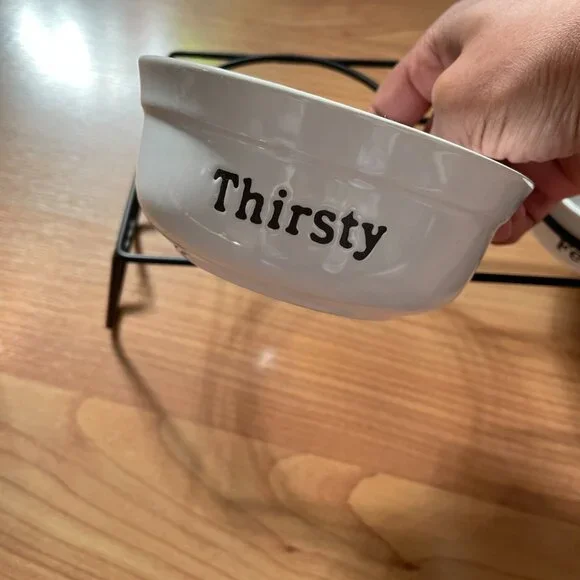 Ceramic Stoneware Bowls and Metal Stand for Cat or Small Dog. NEW, NEVER USED! - Picture 2 of 14